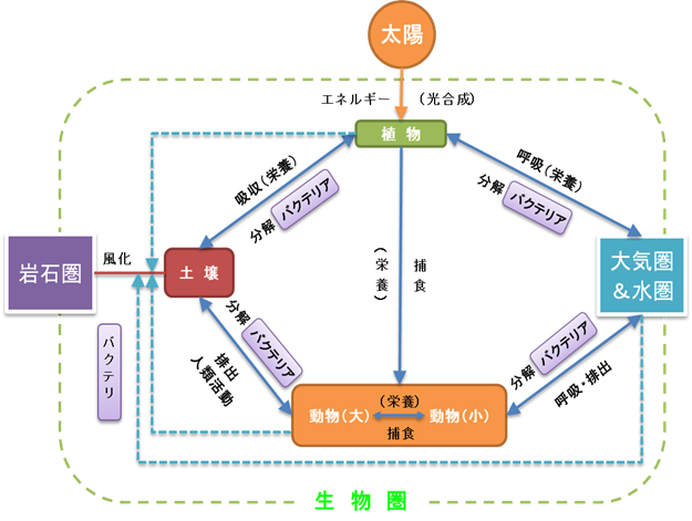 生物圏